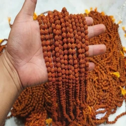Five Mukhi rudraksha chanting beads 108