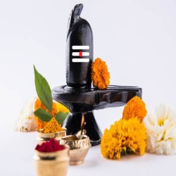 रुद्री(रुद्राभिषेक) पूजा प्याकेज (हवन बाहेक ) साधारण