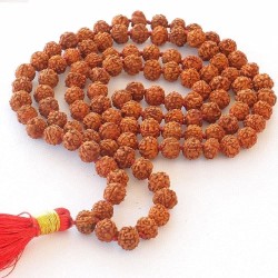 5 मुखी 10 मिमी रुद्राक्ष जप माला Five Mukhi 10 MM Rudraksha Jaap Mala (108 + 1 Beads).